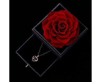 Preserved Rose with I Love You Necklace 100 Languages Jewelry Gift Box